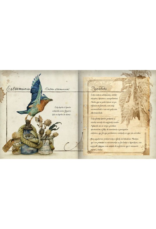 Compendio de herbas máxicas