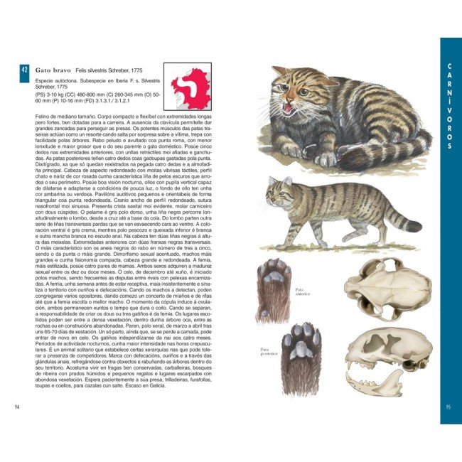 Guía dos mamíferos de Galicia 2