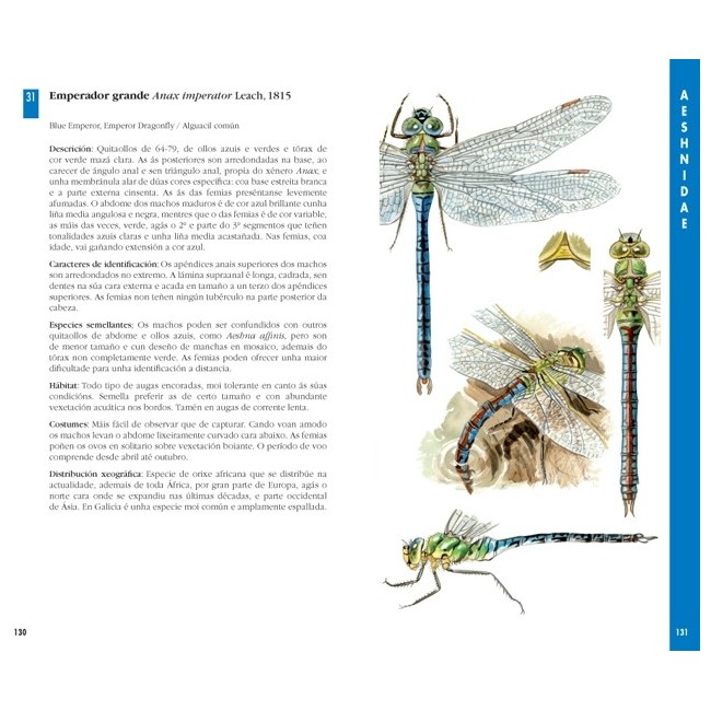 Guía das libélulas de Galicia 2