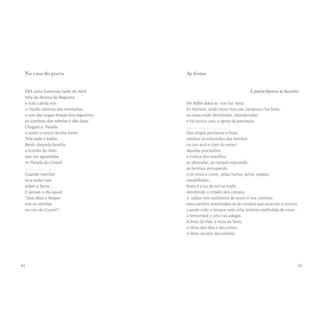 Prenderei a lareira 2