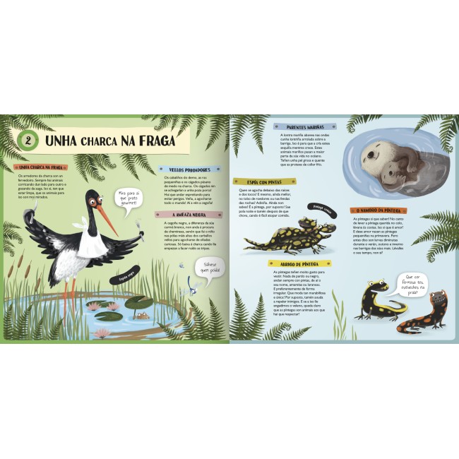 Por tobos e tobeiras 2