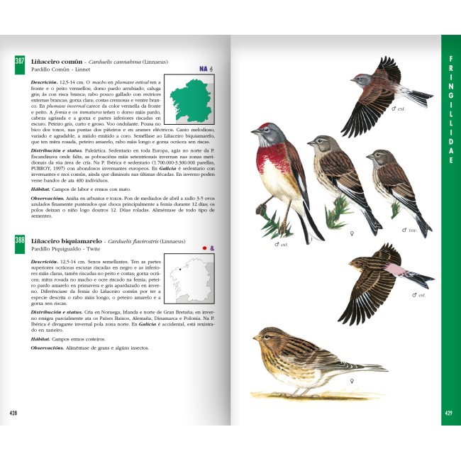 Guía das aves de Galicia 2
