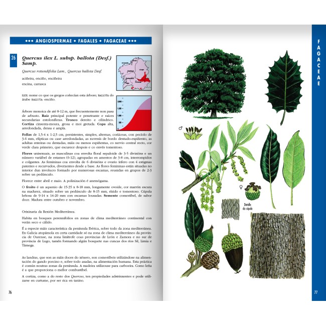 Guía das árbores de Galicia 2