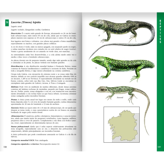 Guía dos anfibios e réptiles de Galicia 2