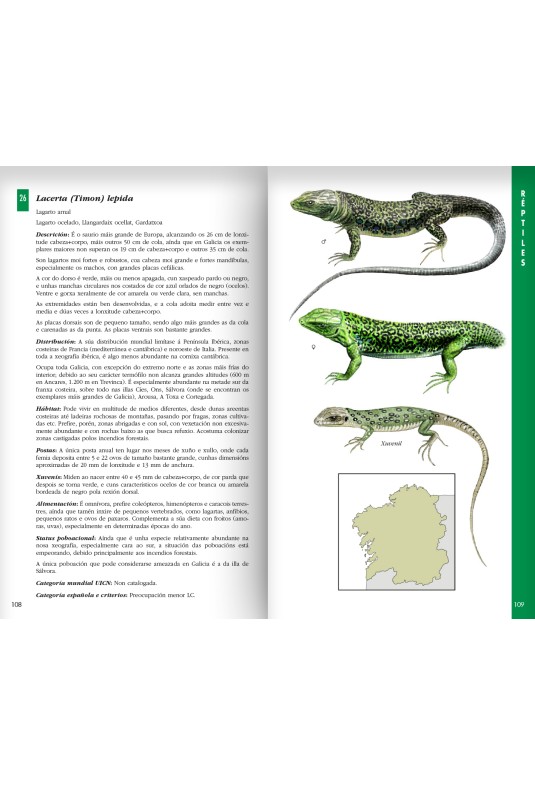 Guía dos anfibios e réptiles de Galicia